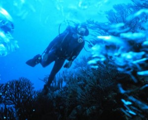 Scuba diver: Image courtesy of U.S. National Oceanic and Atmospheric Administration